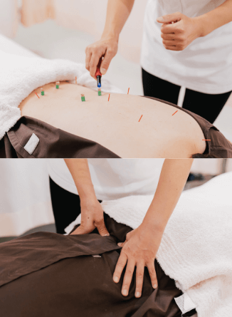 全身治療　(はり・お灸・整体全てを含む）